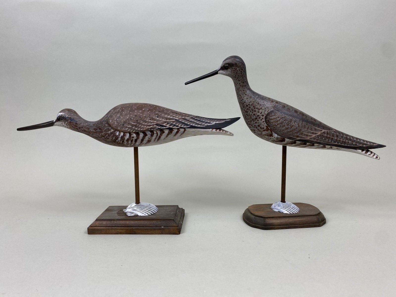 2 David Rhodes  Shorebirds (1 of 8)