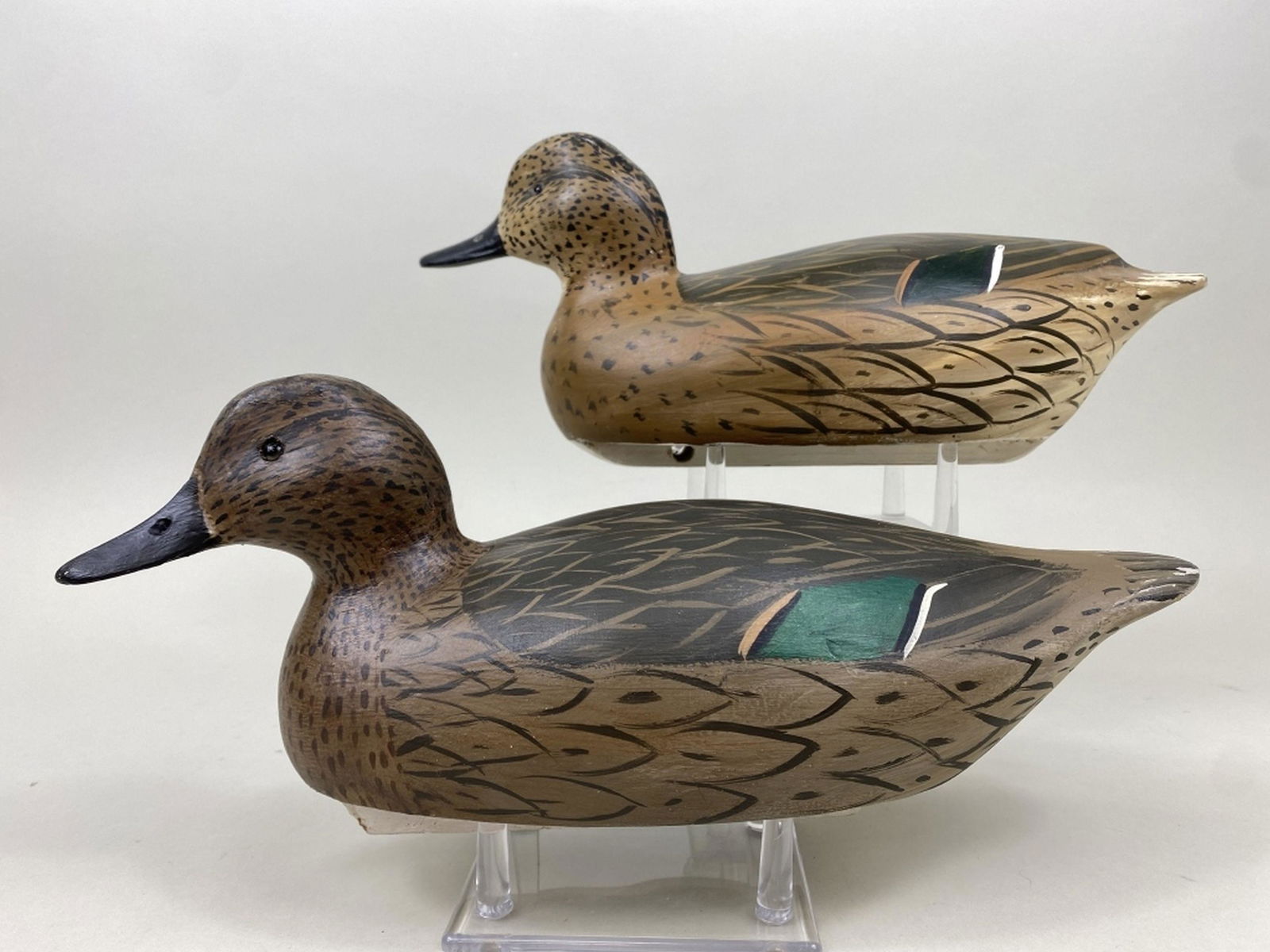2 William Goenne Hen Green-Winged Teal (1 of 8)