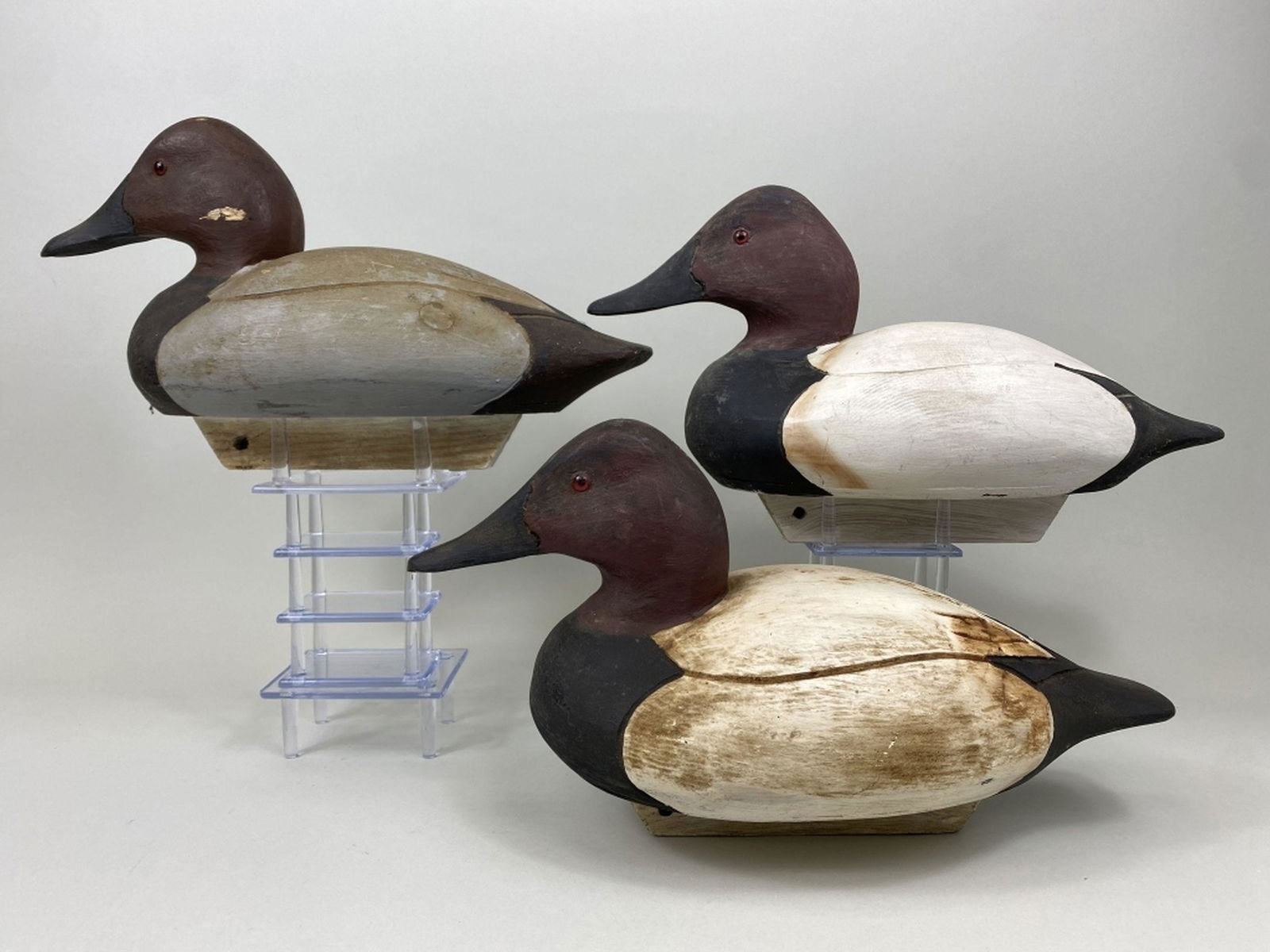 3 Canvasback Drake Duck Decoys (1 of 6)