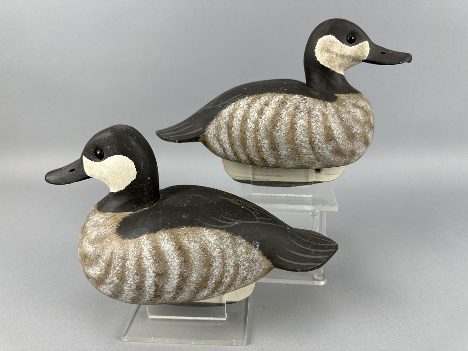 Roe "Duc-Man" Terry Pr of Ruddy Ducks (1 of 20)