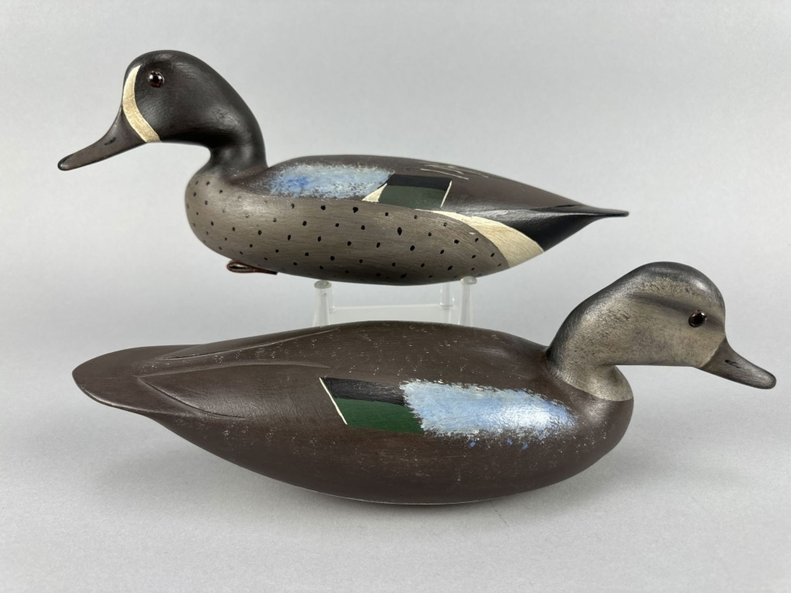 Hurley Conklin Pr of Blue-Winged Teal (1 of 18)