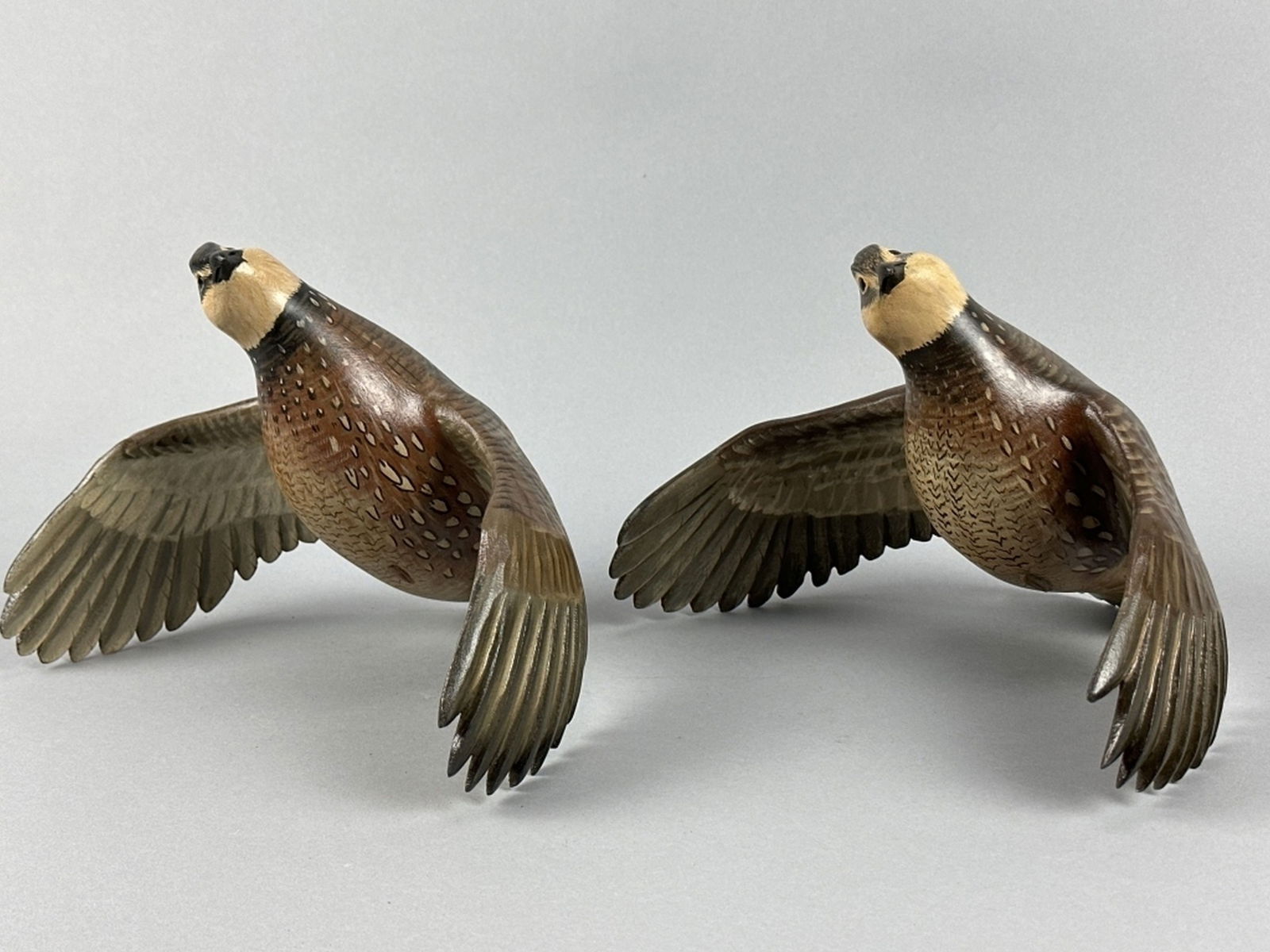 Mike Borrett Pr of Bobwhite Quail (1 of 18)