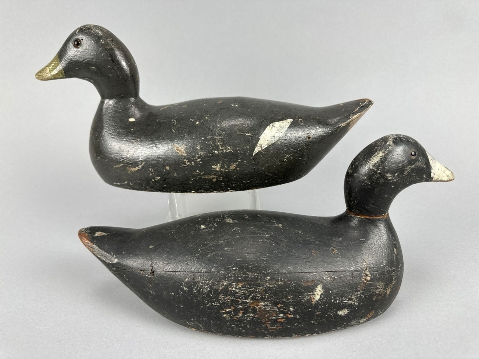 2 Evans Coot Decoys Auction