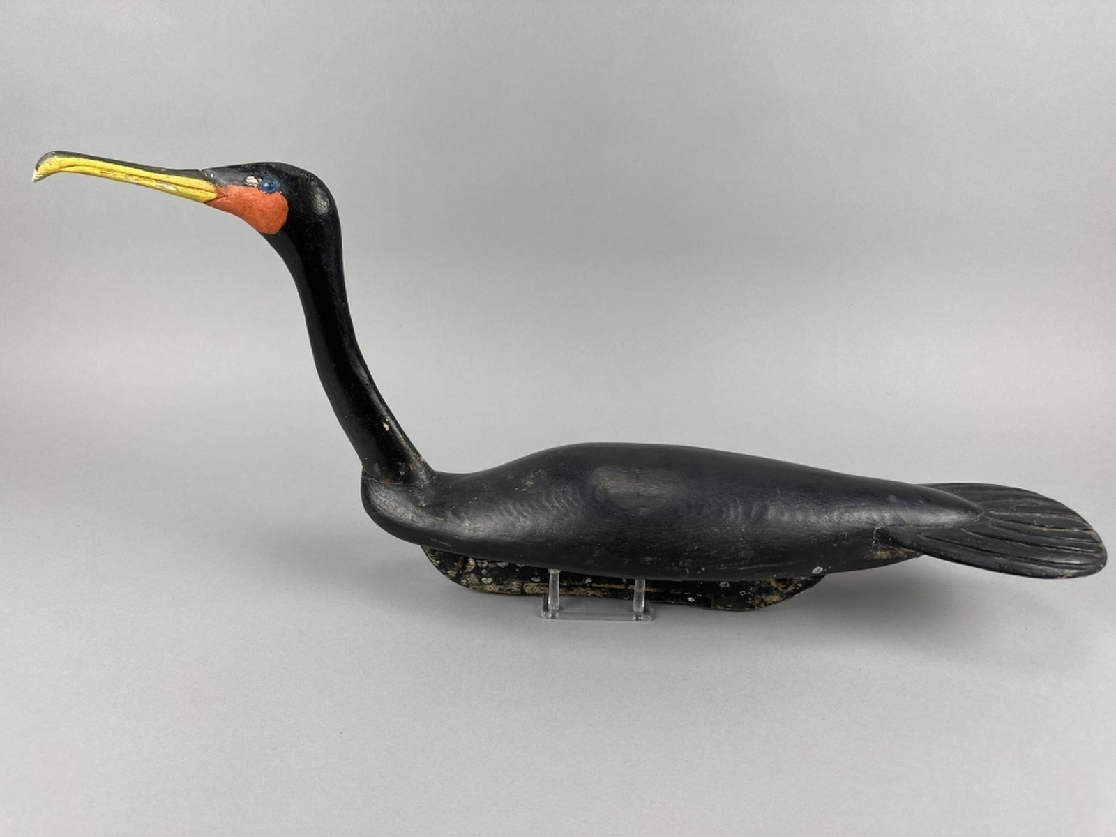 Thomas Langan Cormorant (1 of 8)