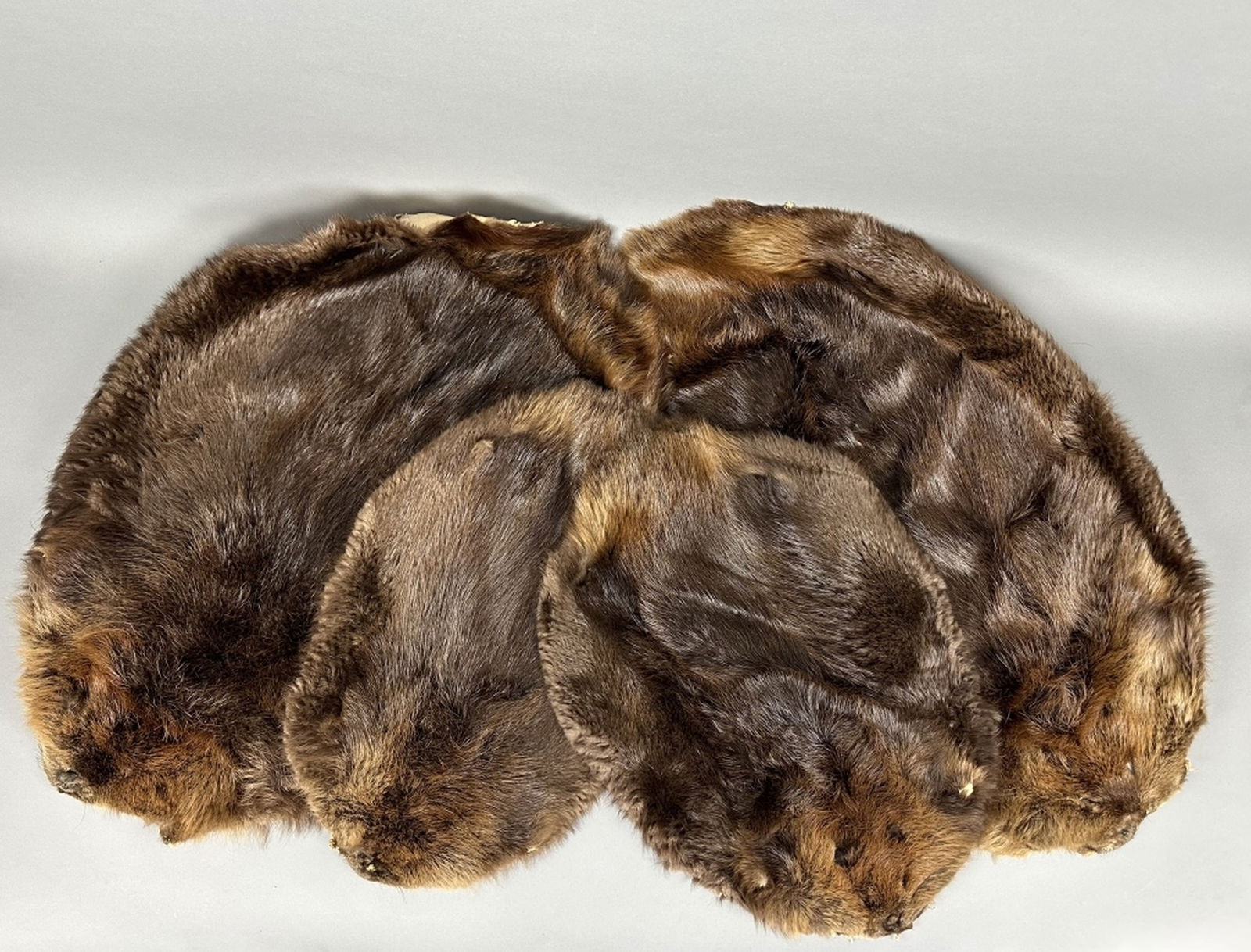 4 Beaver Pelts (1 of 2)