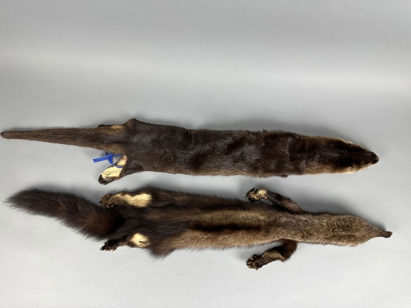 2 Mink Pelts (1 of 2)