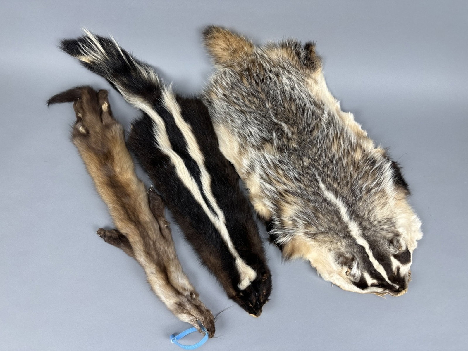 3 Pelts: 30"L badger, 30"L mink & 34"L skunk, all in good condition, Ralph Kandt Collection, est. Market Determined