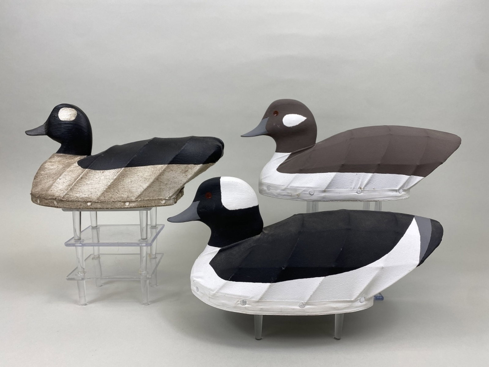 3 Bufflehead Canvas over Wire Duck Decoys: 1 by Wm. Mosley, Knotts Island, NC, glass eyes, canvas over wire hollow body with wooden head & bottom board, original paint, staining to the canvas, "WM" carved in bottom, good condition & 1 pr by Wa