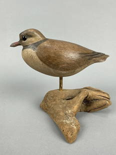 David Ward Semi-Palmated Plover: Essex, CT, glass eyes, strong original paint with distressed wear, great form with relief carved wing detail, comes with driftwood stand, makers initials on bottom, Roger Ludwig Collection, 7"L, est.