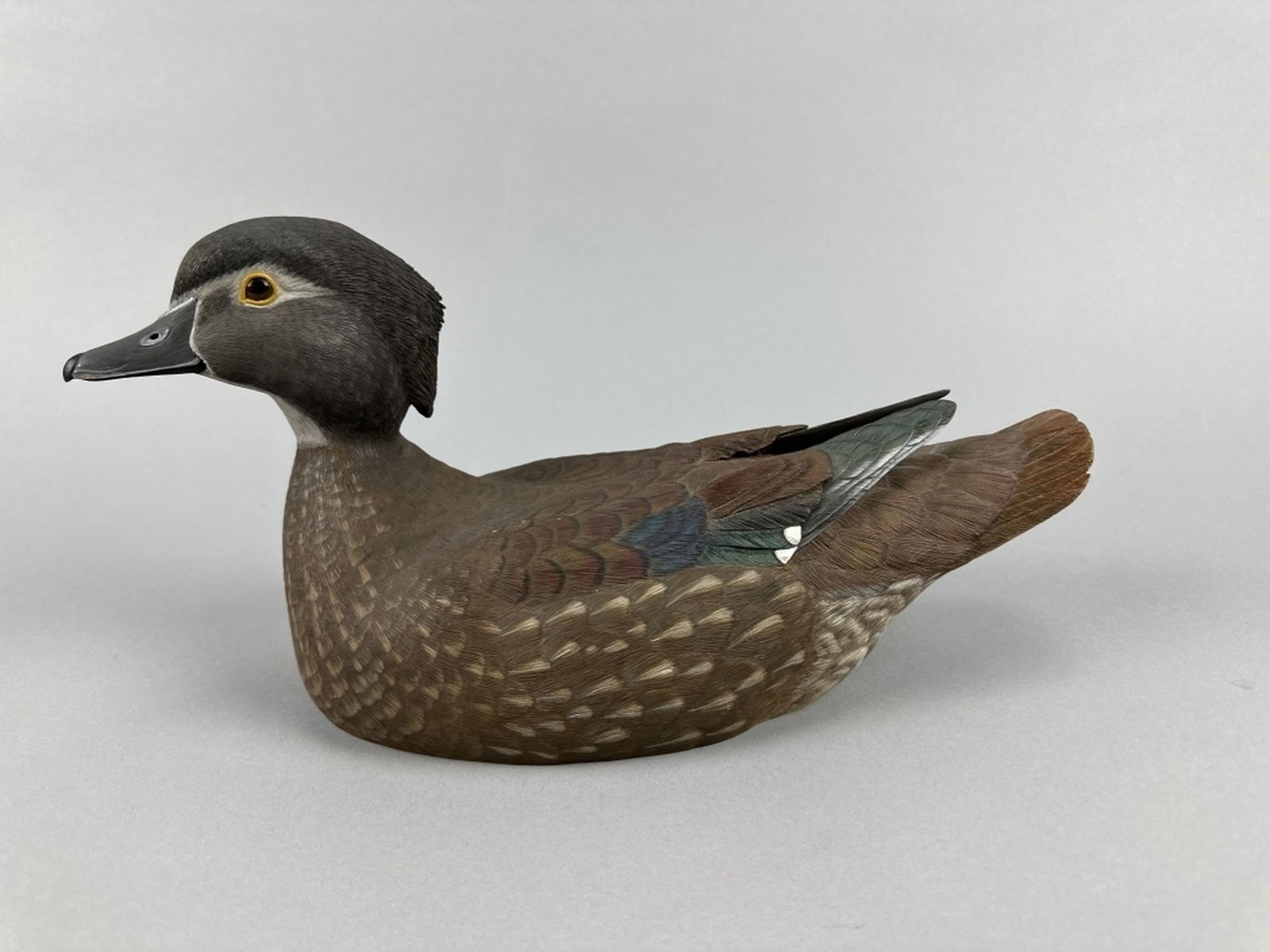 Joy Yax Wood Duck Hen (1 of 9)