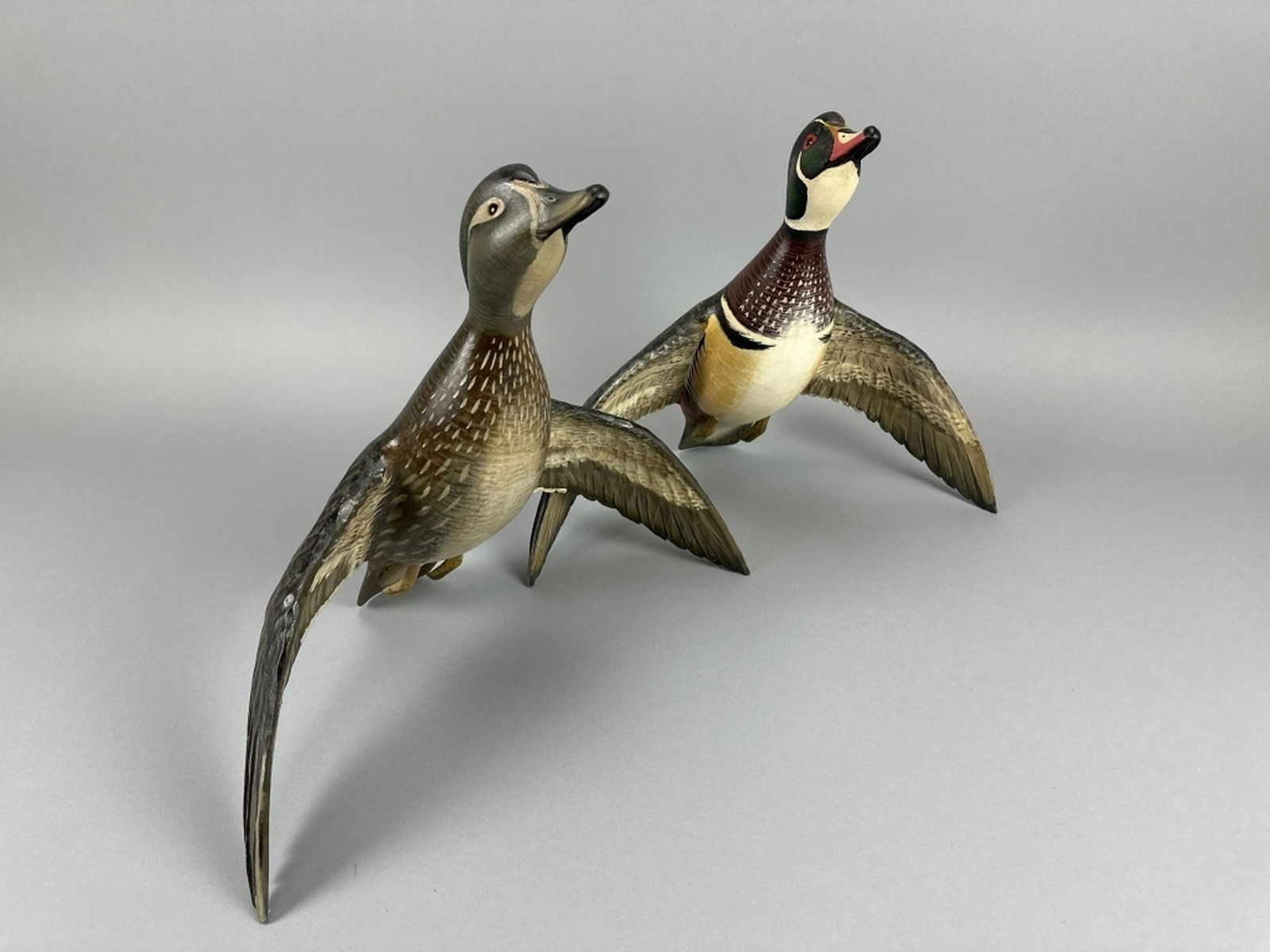 Mike Borrett Pr of Flying Wood Ducks (1 of 15)