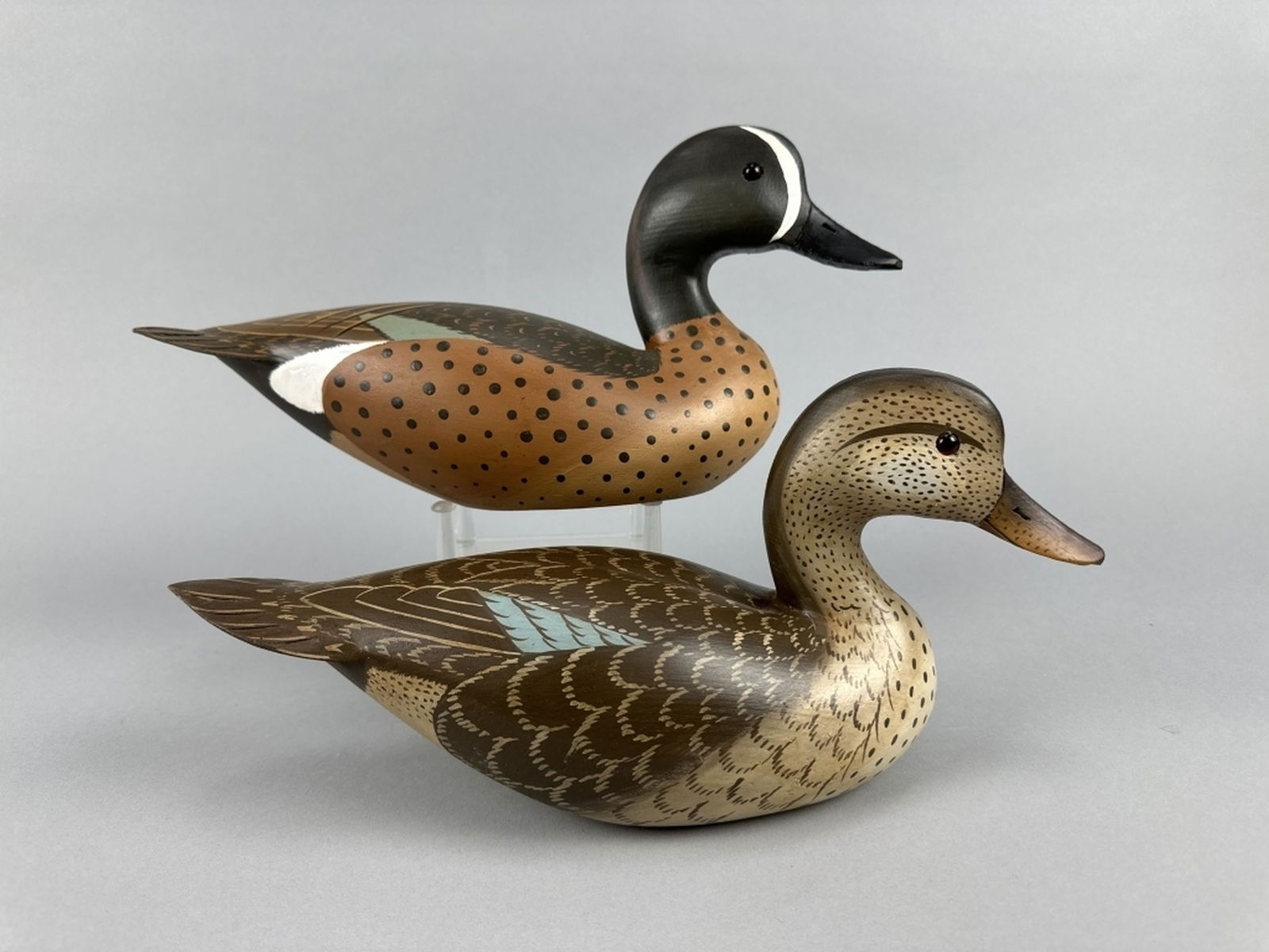 Lou Reineri Pr of Blue-Winged Teal (1 of 18)