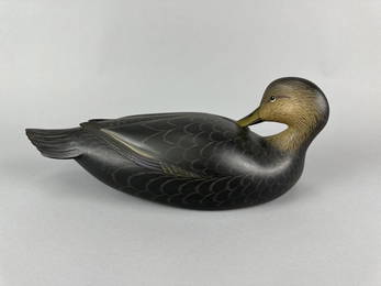 George Strunk Oversized Black Duck Decoy
