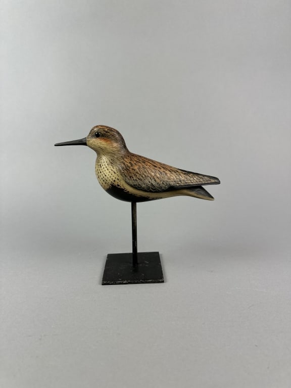 William Gibian Dunlin Shorebird (1 of 8)