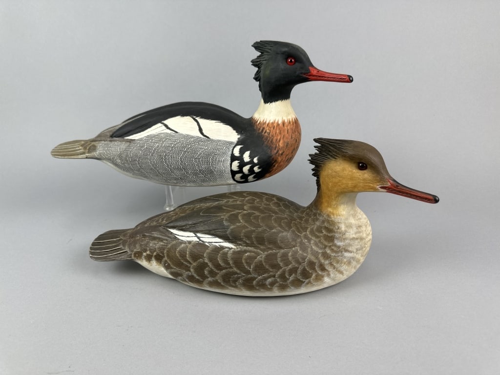 Mark Daisey Pr of Red-Breasted Mergansers: Chincoteague, VA, glass eyes, solid bodies, excellent original paint with nice blending & detailed combing, highly detailed carving to crest on head, nice form with heads being turned slightly right, 