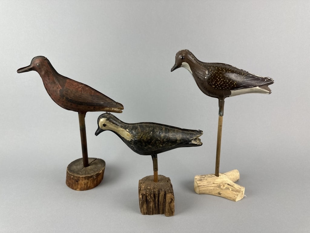 3 Tinnie Shorebirds (1 of 12)