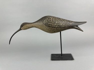 Marty Hanson Eskimo Curlew