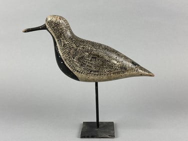 Verity Family Black-Bellied Plover