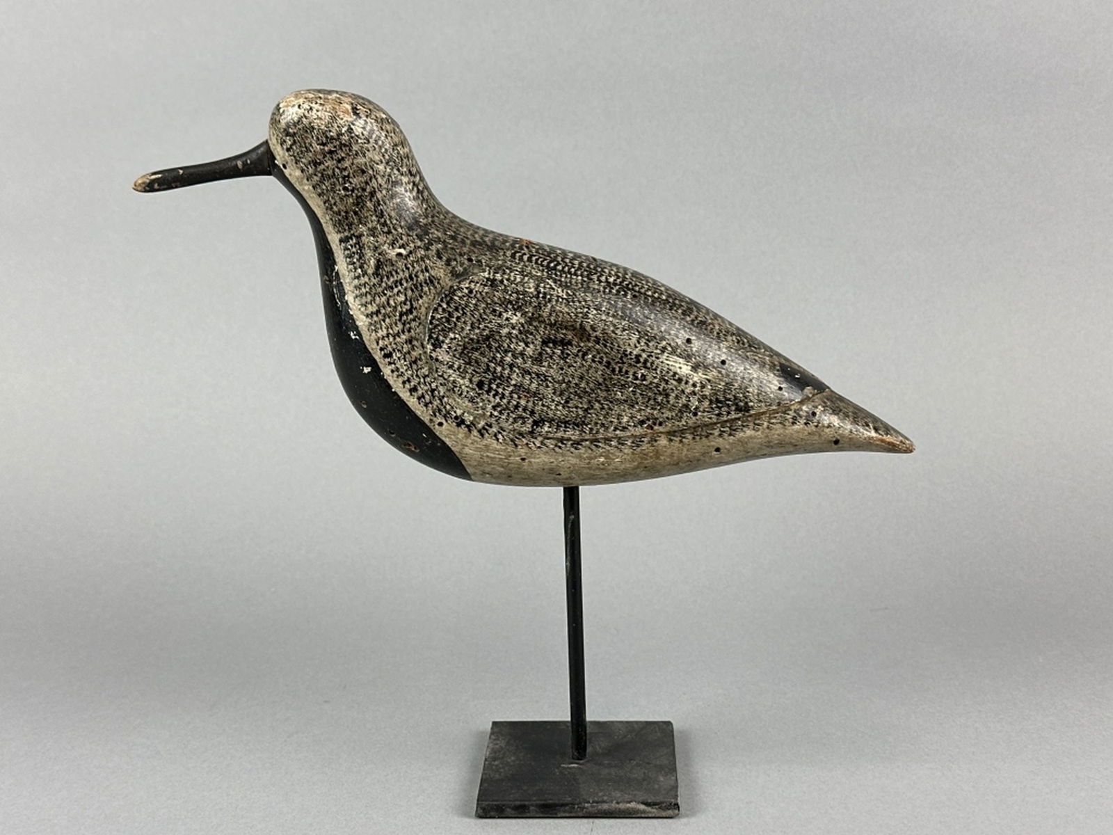 Verity Family Black-Bellied Plover (1 of 8)