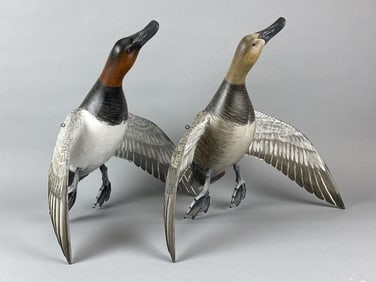 Mike Borrett Pr of Flying Canvasbacks