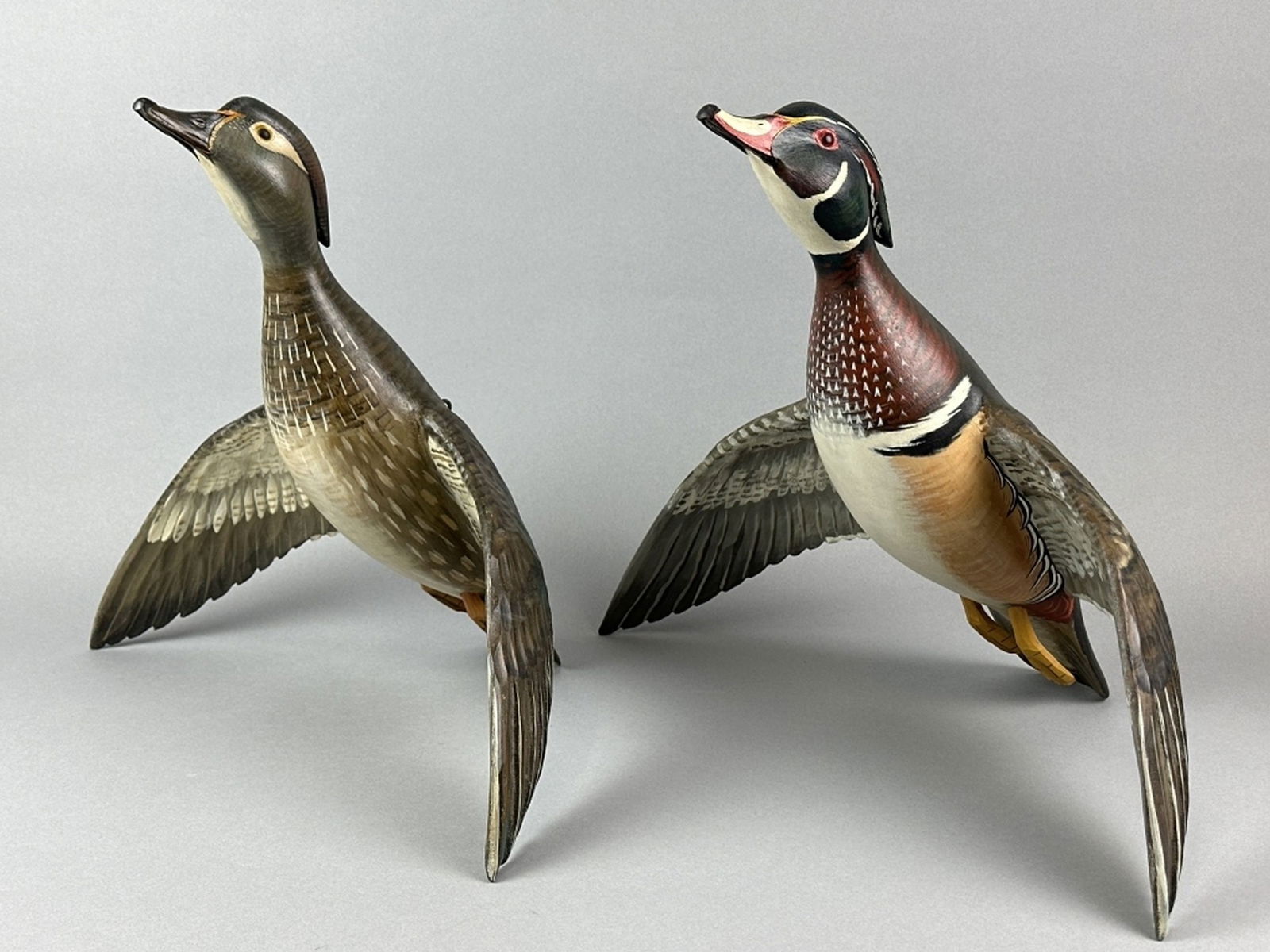 Mike Borrett Pr of Flying Wood Ducks (1 of 18)