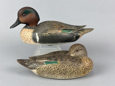 Harold Haertel Pr of Green-Winged Teal