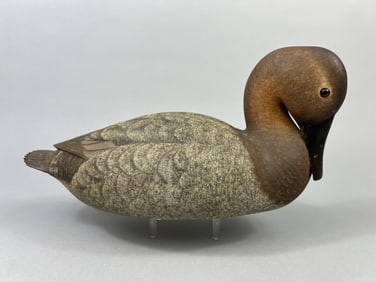 Harold Haertel Canvasback Hen Duck Decoy
