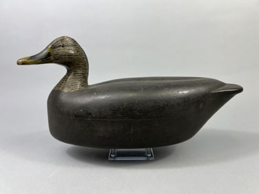 Artie Bennett Working Black Duck Decoy