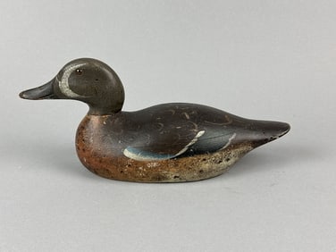 Mason Blue-Winged Teal