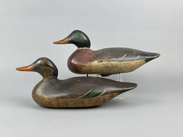 Early Mason Pr of Mallard Duck Decoys