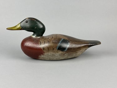 Dodge Mallard Drake Duck Decoy