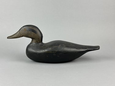 Dodge Black Duck Decoy