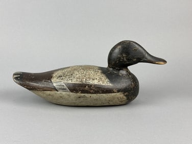 Dodge Bluebill Drake Duck Decoy