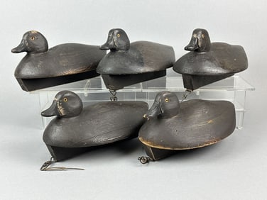 Rig of 5 Doc Baumgardner Bluebills