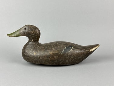 Rare Evans Black Duck Decoy