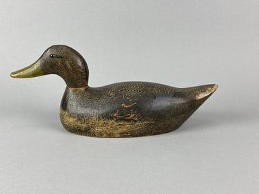 Evans Black Duck Decoy
