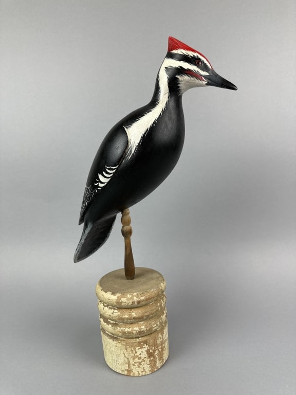 Mike Borrett & Mike Valley Pileated Woodpecker (1 of 10)