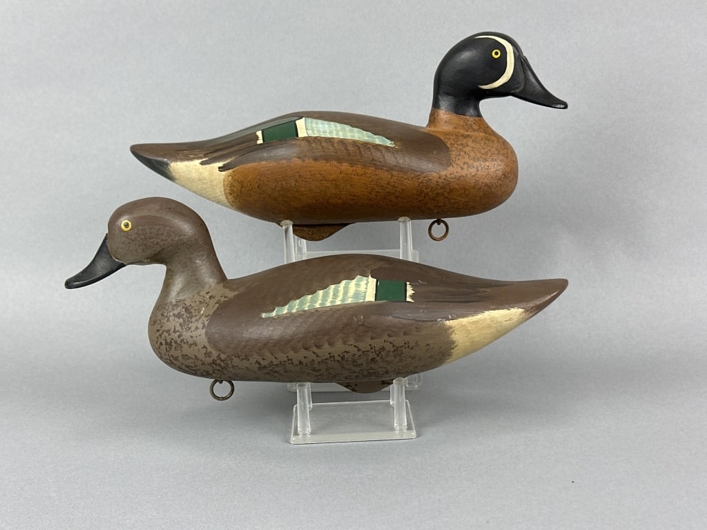 Madison Mitchell Pr. of Blue-Winged Teal (1 of 18)