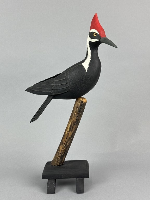 Lou Reineri Pileated Woodpecker (1 of 10)