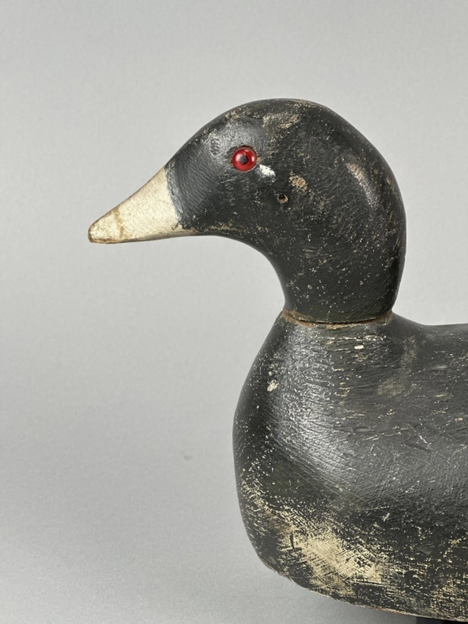 Evans Coot Decoy - 2