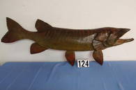 Huge 63" Tiger Muskie, Carved Wall Art. Absolutely