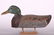 Mallard Drake Duck Decoy By Hartman Decoy Co. Of