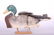 Flap-O-Matic Mallard Drake Duck Decoy, Fiber Mache with