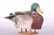 Flap-O-Matic Mallard Drake Duck Decoy, Fiber Mache with - 3