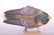 Flap-O-Matic Mallard Drake Duck Decoy, Fiber Mache with - 5