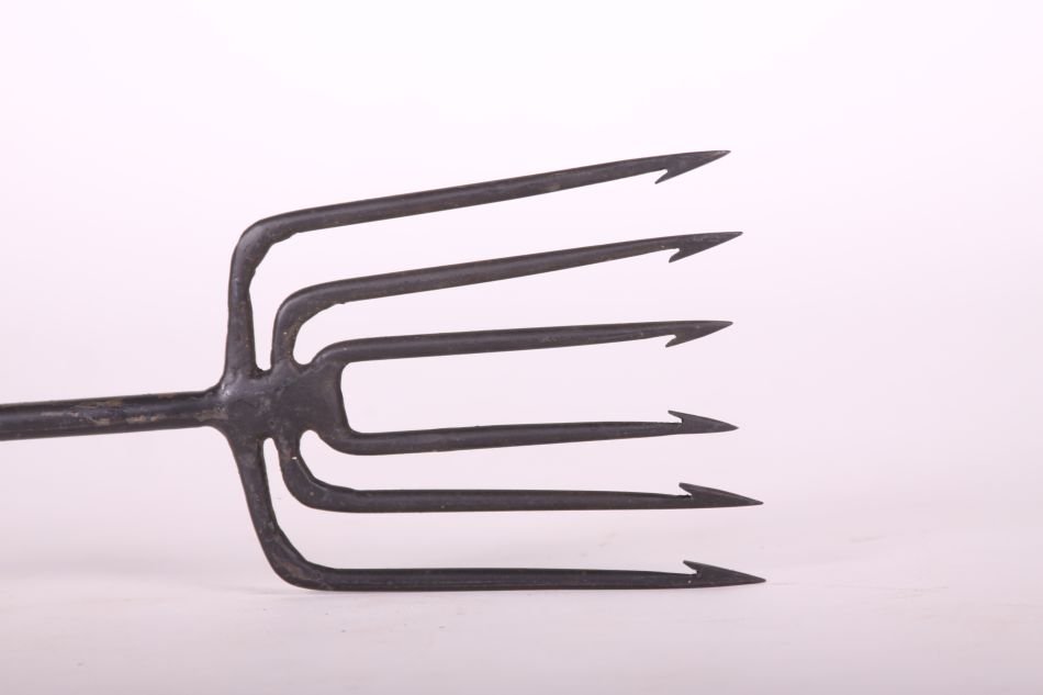 Six Tine Spear, 5.75" Wide, 6.5" Tine Length, 42": Six Tine Spear, 5.75" Wide, 6.5" Tine Length, 42" Overall Length
