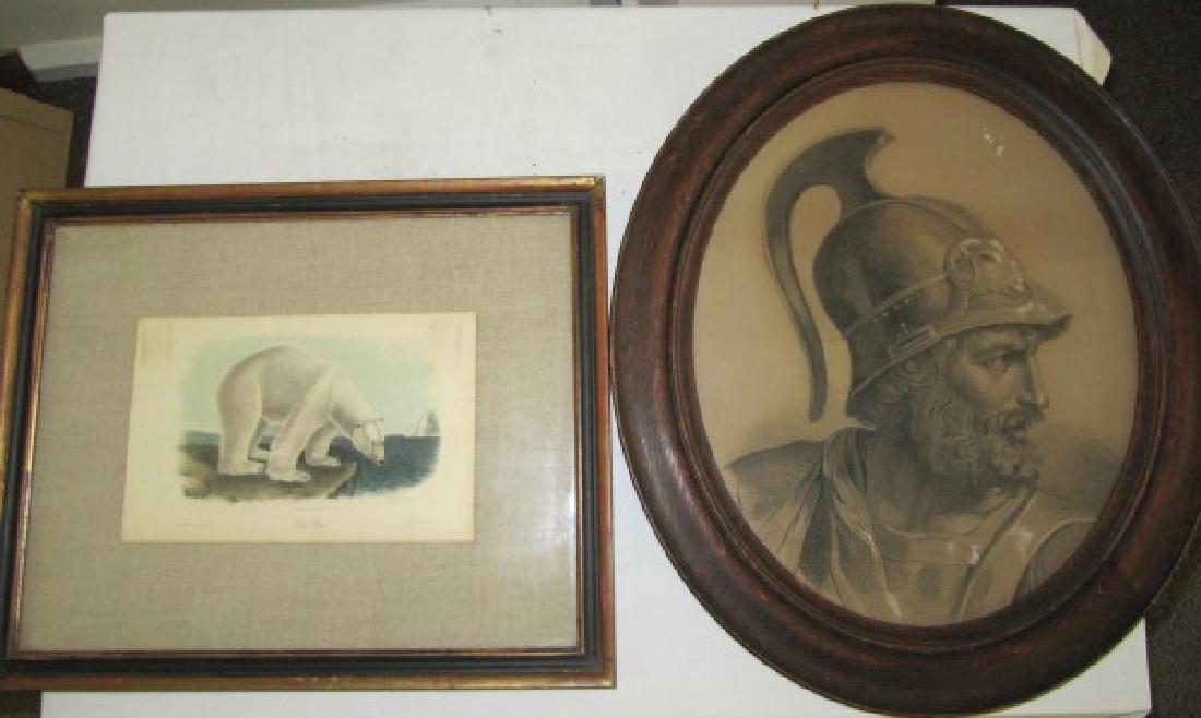 oval charcoal portrait/Audubon print both 19th Century: oval charcoal portrait/Audubon print both 19th Century