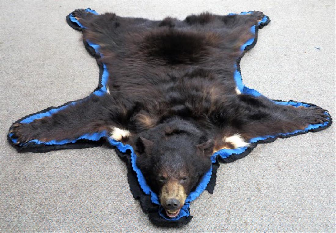 Black Bear Rug: Black Bear Rug