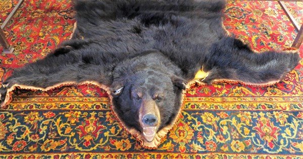 Black Bear Rug: Black Bear Rug