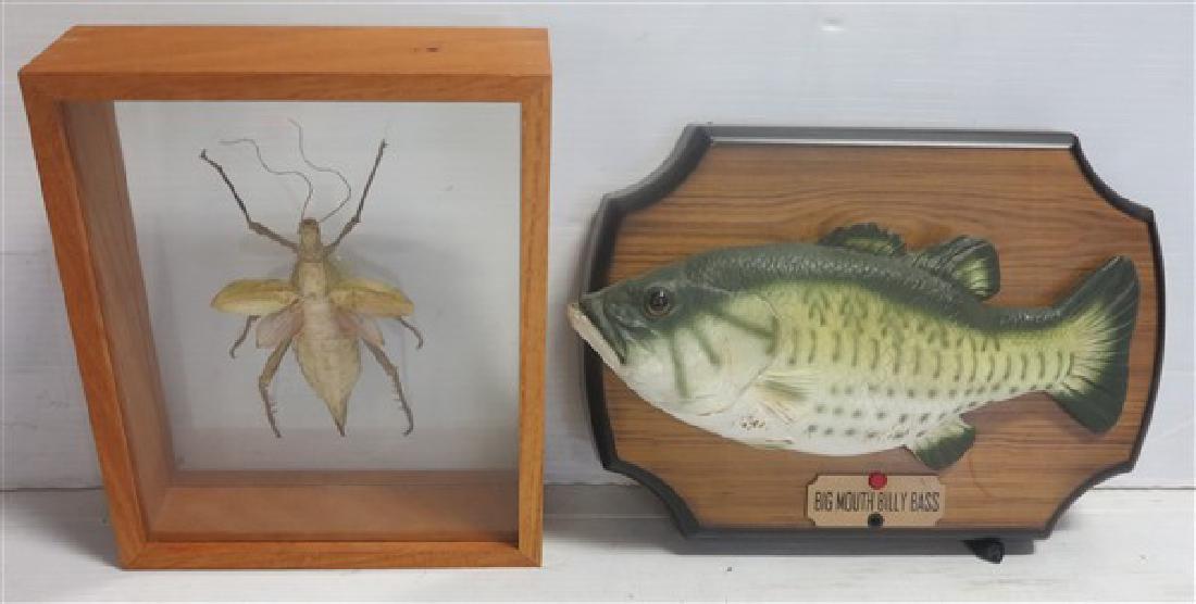 Bug and "Billy Bass": Bug and "Billy Bass"